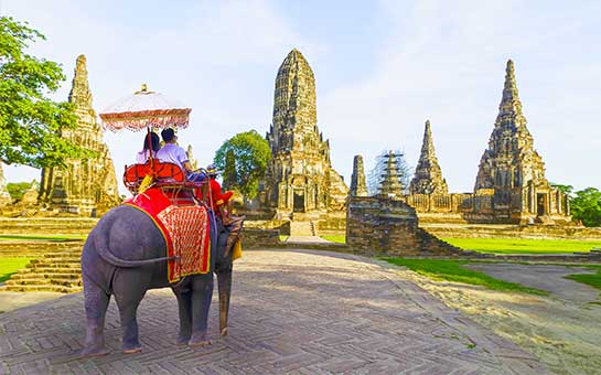 Seguro de viaje para paseo en elefante